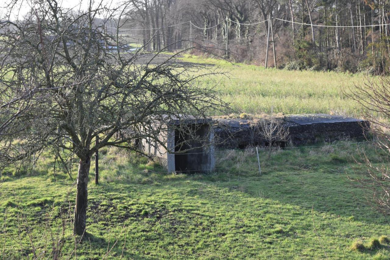 Kreativhof Lehmberg Appartement Hamminkeln Buitenkant foto