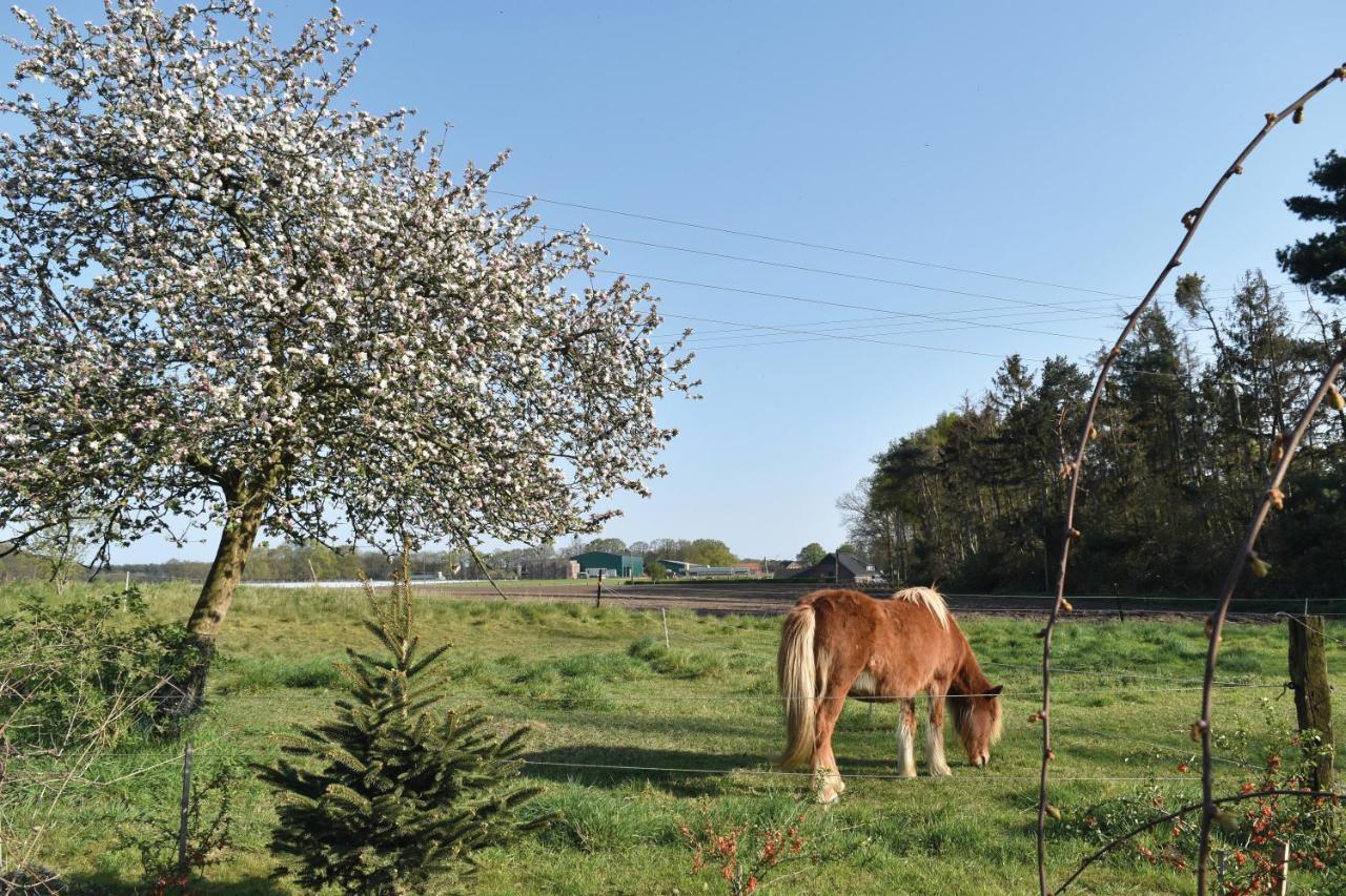 Kreativhof Lehmberg Appartement Hamminkeln Buitenkant foto